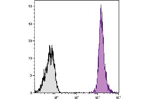 BALB/c mouse splenocytes were stained with Rat Anti-Mouse CD45-UNLB. (Goat anti-Rat IgG (Heavy & Light Chain) Antibody (SPRD) - Preadsorbed)