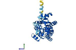 Protein Structure (PS) image for Short Chain Dehydrogenase/reductase Family 9C, Member 7 (SDR9C7) (AA 1-313) protein (His tag) (ABIN7547236)