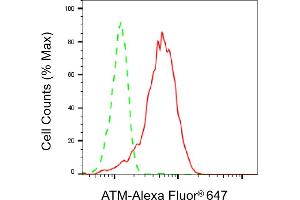 Flow cytometric analysis of ATM expression in HepG2 cells using ATM antibody (ABIN7797668), 1:2,000). (Recombinant ATM antibody)
