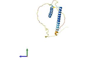 AlphaFold protein structure predicition of Human Recombinant BAP18 Protein, UniprotID Q8IXM2