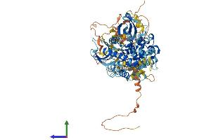 AlphaFold protein structure predicition of Human Recombinant RPS6KA4 Protein, UniprotID O75676 (MSK2 Protein (AA 1-772) (His tag))