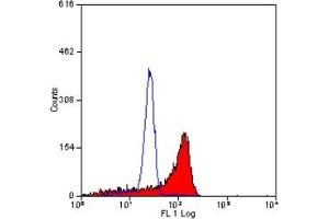 Mouse anti CD222 (IGF-II Receptor) MEM-238 (IGF2R antibody)