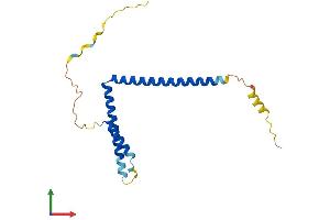 Protein Structure (PS) image for Mediator Complex Subunit 28 (MED28) (AA 1-178) protein (His tag) (ABIN7549328)