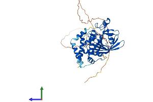 AlphaFold protein structure predicition of Human Recombinant PTPN20 Protein, UniprotID Q4JDL3
