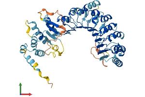 AlphaFold protein structure predicition of Human Recombinant PRAMEF2 Protein, UniprotID O60811 (PRAMEF2 Protein (AA 1-474) (His tag))