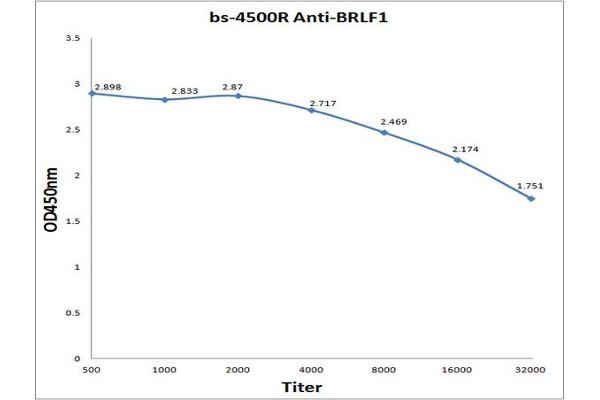 Protein Rta/BRLF1 antibody  (AA 151-250)