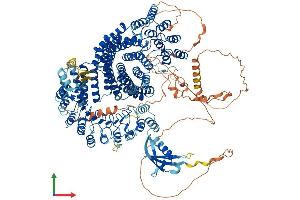 AlphaFold protein structure predicition of Human Recombinant TONSL Protein, UniprotID Q96HA7 (NFKBIL2 Protein (AA 1-1378) (His tag))