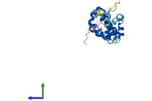 Protein Structure (PS) image for Stromal Antigen 3-Like 1 (STAG3L1) (AA 1-205) protein (His tag) (ABIN7544032)