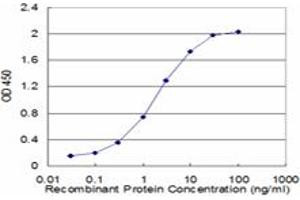 Detection limit for recombinant GST tagged FAS is approximately 0. (FAS antibody  (AA 20-119))