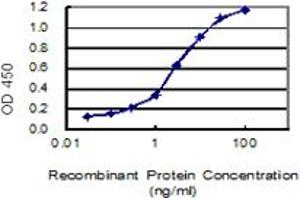 Detection limit for recombinant GST tagged FAM44A is 0. (BOD1L1 antibody  (AA 1-284))
