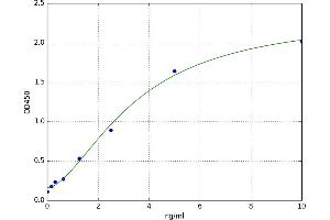 P-Cadherin (CDH3) ELISA Kit