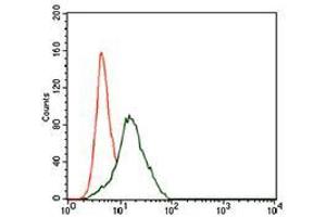 Flow cytometric analysis of HepG2 cells using FZD5 mouse mAb (green) and negative control (red). (FZD5 antibody  (AA 151-217))