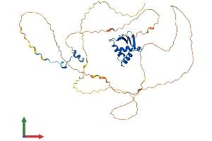 Protein Structure (PS) image for ELK1, Member of ETS Oncogene Family (ELK1) (AA 1-429) protein (His tag) (ABIN7563237)