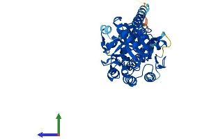 AlphaFold protein structure predicition of Mouse Recombinant Pm20d2 Protein, UniprotID A3KG59 (PM20D2 Protein (AA 1-431) (His tag))