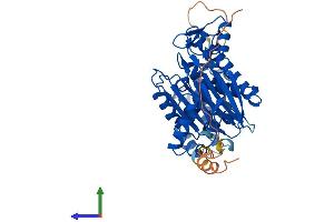 Protein Structure (PS) image for Protein Phosphatase 1F (PP2C Domain Containing) (PPM1F) (AA 1-452) protein (His tag) (ABIN7559321)