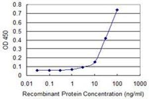Detection limit for recombinant GST tagged PCAF is approximately 10ng/ml as a capture antibody. (KAT2B antibody  (AA 353-452))