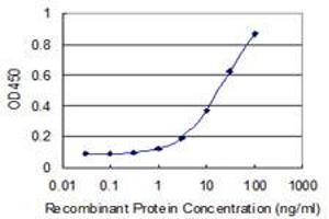 Detection limit for recombinant GST tagged POLR2J2 is 0. (POLR2J2 antibody  (AA 1-115))
