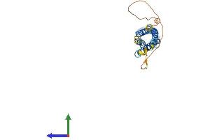 AlphaFold protein structure predicition of Mouse Recombinant Synpr Protein, UniprotID Q8BGN8 (Synaptoporin Protein (SYNPR) (AA 1-265) (His tag))