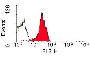 Staining of human peripheral blood lymphocytes with MOUSE ANTI HUMAN CD229 : RPE (ABIN119625). (LY9 antibody  (PE))