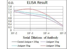 ELISA image for anti-Sequestosome 1 (SQSTM1) (AA 232-356) antibody (ABIN1846090) (SQSTM1 antibody  (AA 232-356))