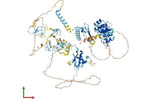 AlphaFold protein structure predicition of Human Recombinant DZANK1 Protein, UniprotID Q9NVP4