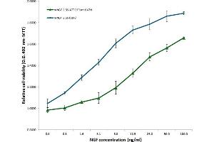 mouse NGF 2. (NGF 2.5S protein (Atto 647N))