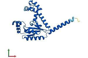 Protein Structure (PS) image for dephospho-CoA Kinase Domain Containing (DCAKD) (AA 1-231) protein (His tag) (ABIN7558626)