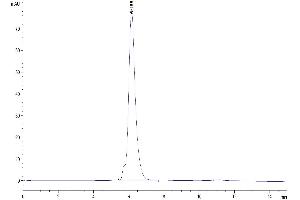 Size-exclusion chromatography-High Pressure Liquid Chromatography (SEC-HPLC) image for CD86 (CD86) (AA 26-247) protein (Fc Tag) (ABIN7273897)