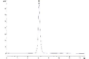 The purity of Human CD86 is greater than 95 % as determined by SEC-HPLC. (CD86 Protein (CD86) (AA 26-247) (Fc Tag))