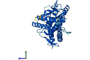 AlphaFold protein structure predicition of Mouse Recombinant Mab21l1 Protein, UniprotID O70299