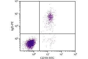 Human peripheral blood lymphocytes were stained with Goat Anti-Human IgD-PE and Mouse Anti-Human CD19-FITC. (Goat anti-Human IgD Antibody (PE))