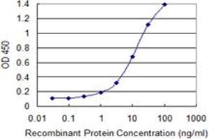 Detection limit for recombinant GST tagged PCF11 is 0. (PCF11 antibody  (AA 1465-1555))
