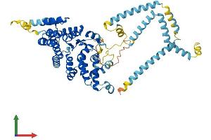 AlphaFold protein structure predicition of Mouse Recombinant St7 Protein, UniprotID Q99M96