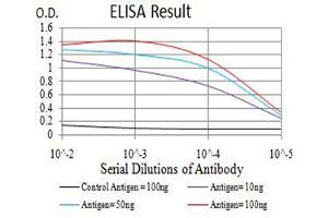 Black line: Control Antigen (100 ng),Purple line: Antigen (10 ng), Blue line: Antigen (50 ng), Red line:Antigen (100 ng) (AFAP1L2 antibody  (AA 674-818))