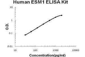 Human ESM1/Endocan PicoKine ELISA Kit standard curve