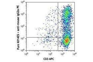 Flow Cytometry (FACS) image for anti-Chemokine (C-X-C Motif) Receptor 6 (CXCR6) antibody (ABIN2664320) (CXCR6 antibody)