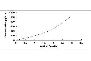 Typical standard curve (IL-8 ELISA Kit)