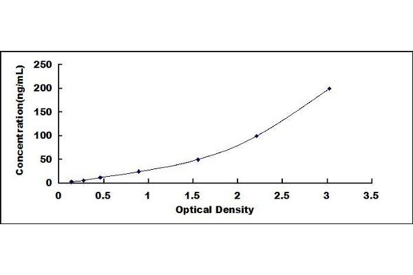 CYP2E1 ELISA Kit