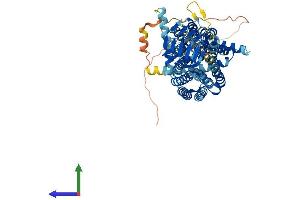 AlphaFold protein structure predicition of Human Recombinant SV2B Protein, UniprotID Q7L1I2