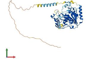 AlphaFold protein structure predicition of Human Recombinant ST3GAL5 Protein, UniprotID Q9UNP4 (ST3GAL5 Protein (AA 1-418) (His tag))