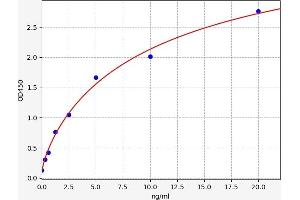 Typical standard curve (Septin 7 ELISA Kit)