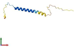 Protein Structure (PS) image for FXYD Domain Containing Ion Transport Regulator 7 (FXYD7) (AA 1-80) protein (Fc Tag) (ABIN7556551)