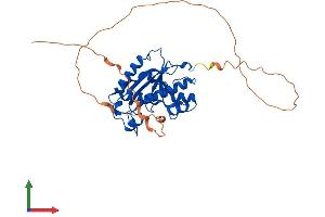 AlphaFold protein structure predicition of Mouse Recombinant Eri3 Protein, UniprotID Q8C460