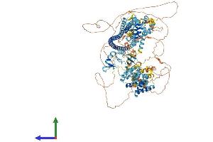 AlphaFold protein structure predicition of Mouse Recombinant Dzip3 Protein, UniprotID Q7TPV2