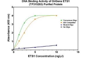 Bioactivity measured with Activity Assay (ETS1 Protein (Transcript Variant 2) (Myc-DYKDDDDK Tag))