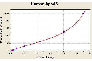 Diagramm of the ELISA kit to detect Human ApoA5with the optical density on the x-axis and the concentration on the y-axis.