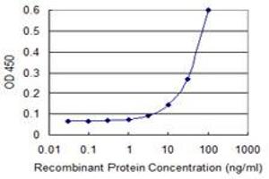 Detection limit for recombinant GST tagged CLIC1 is 3 ng/ml as a capture antibody. (CLIC1 antibody  (AA 1-241))