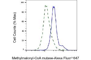 Validation of Methylmalonyl-CoA mutase knockdown using flow cytometry. (Recombinant MUT antibody)