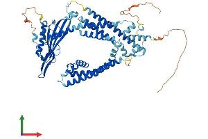 AlphaFold protein structure predicition of Mouse Recombinant Mcoln1 Protein, UniprotID Q99J21