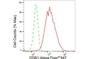 Flow cytometric analysis of DDB1 expression in HepG2 cells using DDB1 antibody (ABIN7798273), 1:2,000). (Recombinant DDB1 antibody)